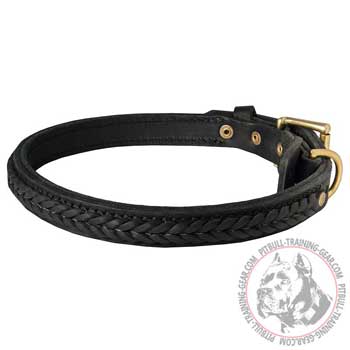 Leather Pitbull Collar with Brass Hardware