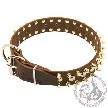 Leather Pitbull Collar with Steel Nickel Plated Buckle for Proper Training