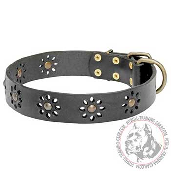 Pit Bull Dog Collar with Flower Design