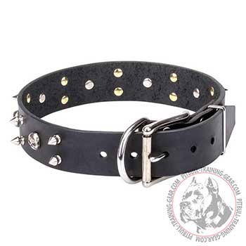 Pit Bull Dog Black Leather Collar
