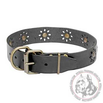 Pitbull Leather Dog Collar with Brass Buckle