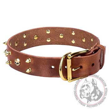 Leather Pitbull Dog Collar with Brass Hardware