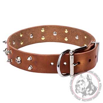 Pit Bull Dog Collar Leather Brown