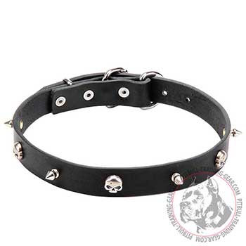 Pit Bull Leather Dog Collar with Decorations