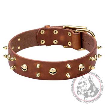 Pit Bull Dog Leather Collar for  Walking