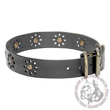 Pit Bull Leather Dog Collar for Walking