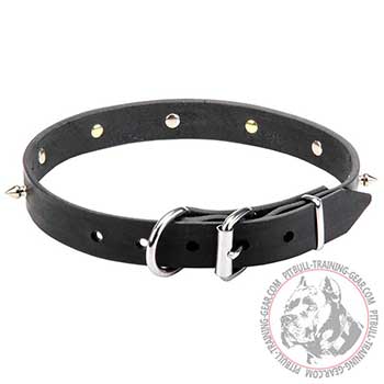 Pit Bull Leather Collar with Steel Buckle
