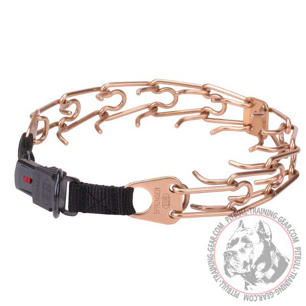 Pitbull Curogan Pinch Collar for Dog Behavior Correction