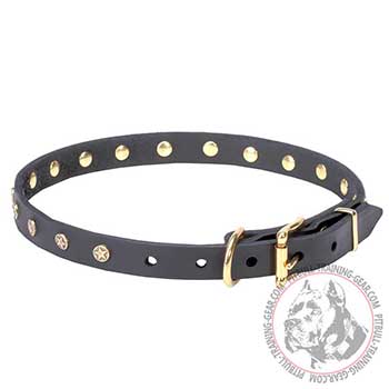 Brass hardware for thin leather Pitbull collar 