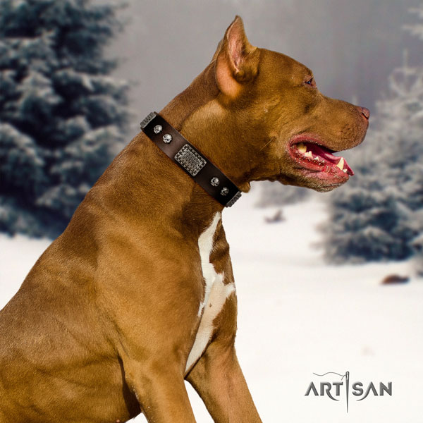 Pitbull convenient genuine leather dog collar with unusual embellishments