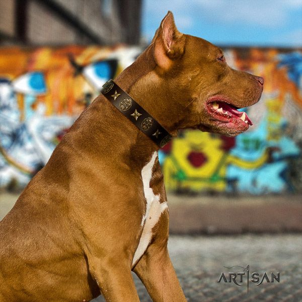 Pitbull everyday use genuine leather collar for your beautiful canine