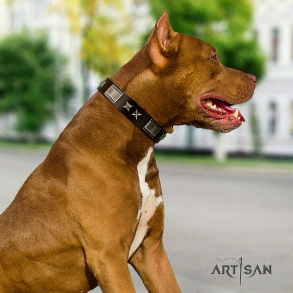 Pitbull easy to adjust genuine leather dog collar with exquisite studs