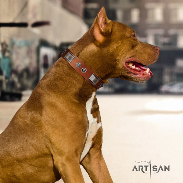 Pitbull handcrafted full grain natural leather dog collar with inimitable adornments