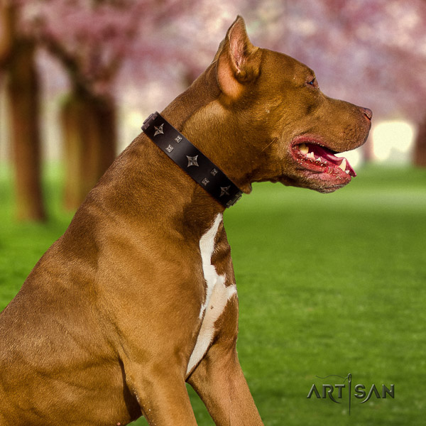 Pitbull handy use full grain genuine leather collar for your handsome dog