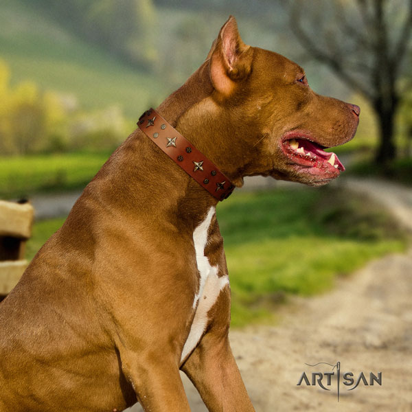 Pitbull easy adjustable full grain genuine leather dog collar with trendy studs