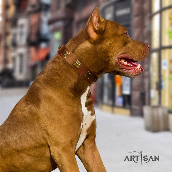 Pitbull daily walking full grain genuine leather collar for your lovely dog