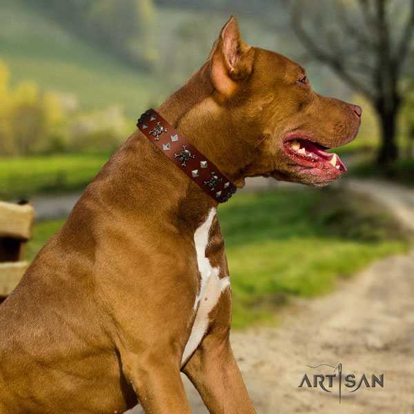 Pitbull convenient full grain genuine leather dog collar with inimitable decorations