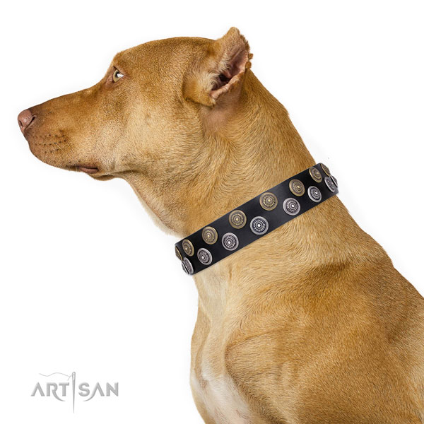 Pitbull natural genuine leather collar with corrosion proof buckle for daily use