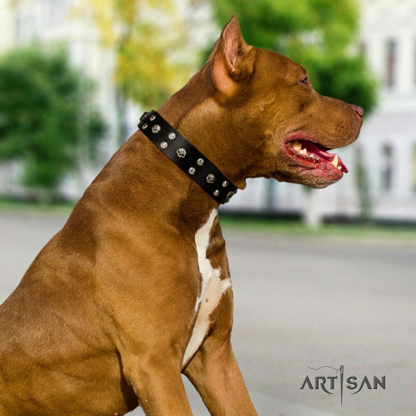Pitbull adjustable natural genuine leather dog collar with impressive decorations
