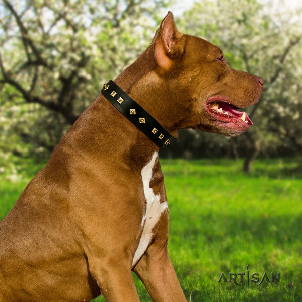 Pitbull easy to adjust genuine leather dog collar with top notch studs