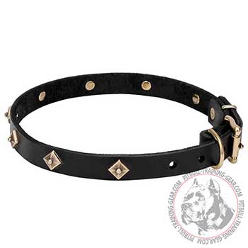 Leather Collar for Pit Bull Breed, chic decorations