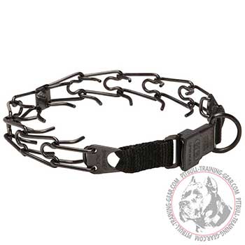 Dog prong collar of stainless stell for Pitbulls
