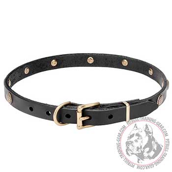 3/4 inch Leather Dog Collar for Pit Bull, easy adjustable 