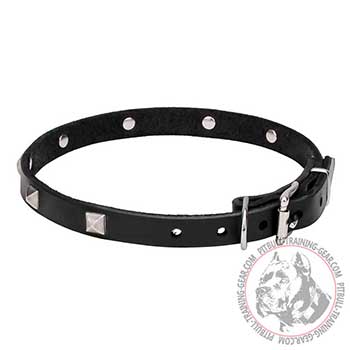 Fashion Leather Collar for Pit Bulls, A-grade leather