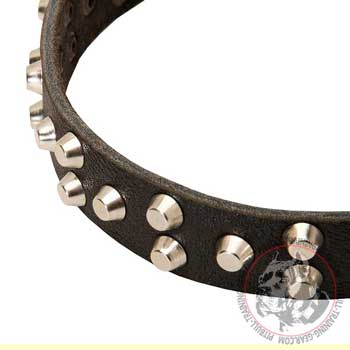 Pyramid studs adornment of leather dog collar for Pitbull
