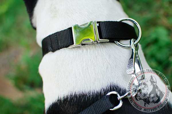 Nickel Plated Buckle on Nylon Dog Collar for Pitbull Breed