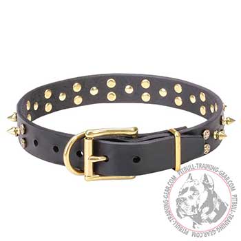 Reliable leather Pitbull collar