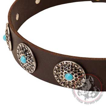 Fashion Leather Dog Collar for Pit Bull Decorated with Silver Conchos