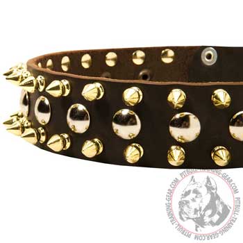 Spikes and Studs on Adjustable Leather American Pit Bull Terrier Collar