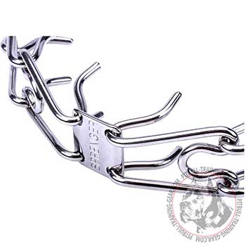 Stainless Steel Links of Pit Bull Prong Collar