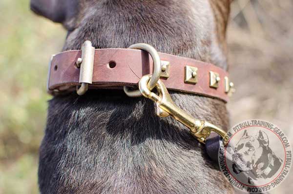 Durable D-Ring on Leather Dog Collar for Pitbull
