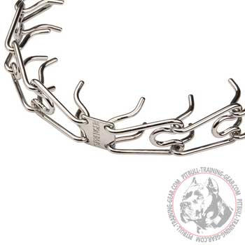 Chrome plated prongs of dog pinch collar