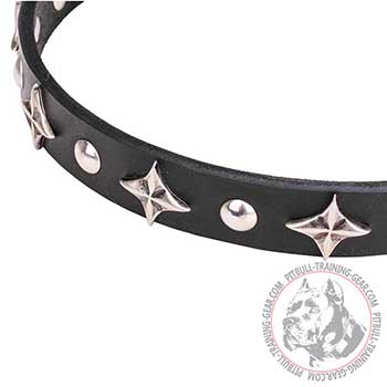 Chrome plated figgery of dog collar for Pit Bulls