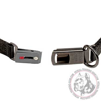Click lock buckle for Pit Bull Pinch Collar