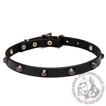 Fashion Leather Dog Collar for Pit Bulls Decorated with Amazing Cones