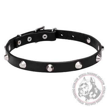 Leather Pitbull Dog Collar with Riveted Studs