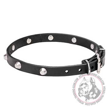 Leather Collar for Pit Bulls, adjustable