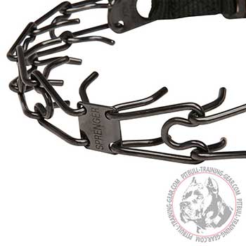 Pitbull dog prong collar of strong stainless steel