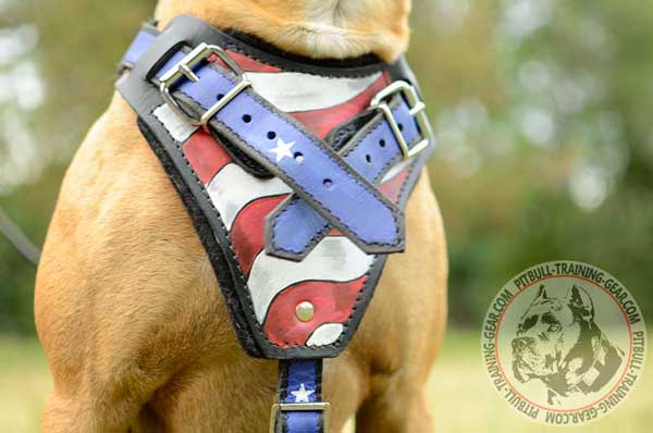 Chest Plate of Leather Handmade Pitbull Harness