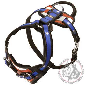 Fittings of Leather Pitbull Harness will not Break Easily