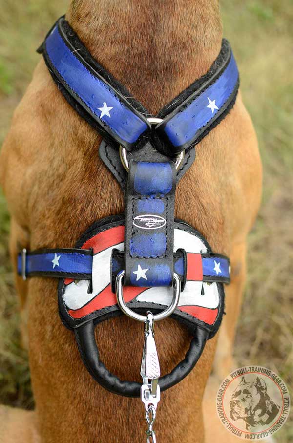 Leather Handle on Adjustable American Pit Bull Terrier Harness Allows to Grab your Dog Fast 