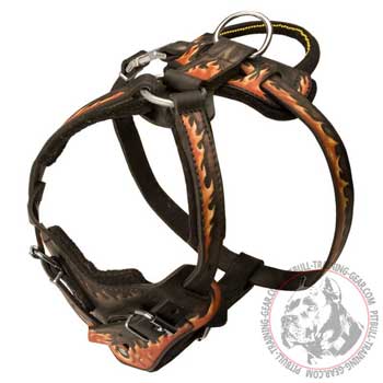 Hardware on Painted Leather Dog Harness