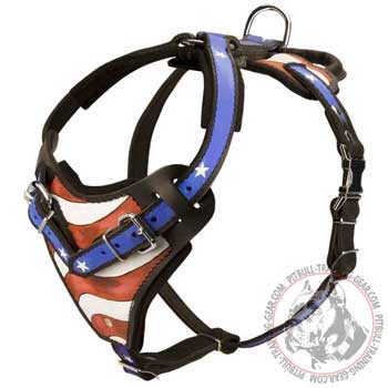 Leather Pit Bull Harness Fashion Easy Adjustable