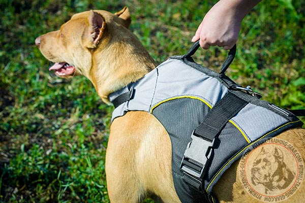 Pitbull nylon harness of high quality with handle for any activity