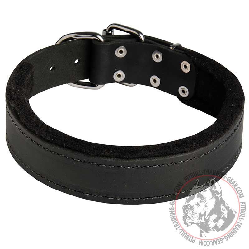 Best Studs and Spikes Leather Dog 【Collar】 for Pitbull : Pitbull