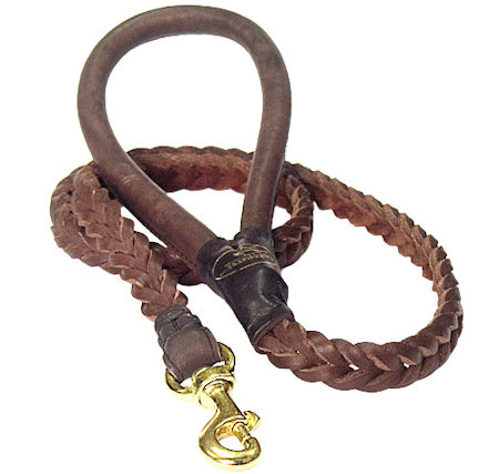 rope leash for pitbull